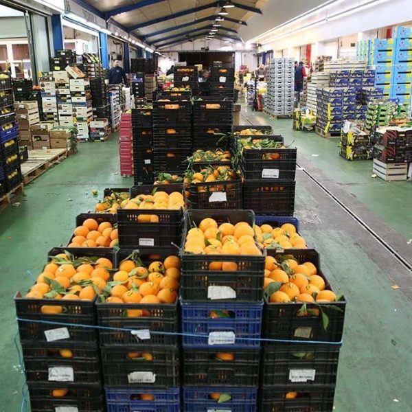exportaciones de Málaga