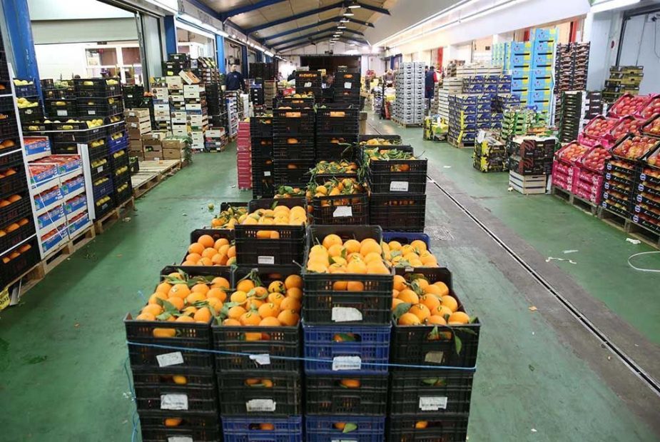 exportaciones de Málaga