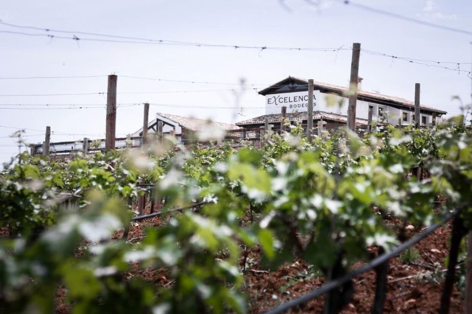 Bodega Excelencia ya cuenta con dos premios de prestigio con su vino Tagus.