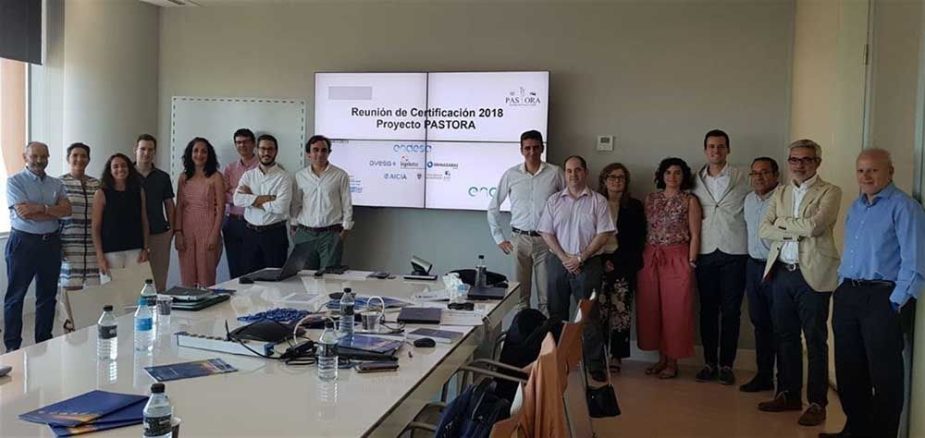 Proyecto "Pastora", liderado por Endesa.