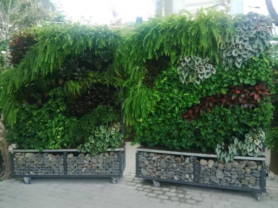 Mampara verde desarrollada por Agrojardín