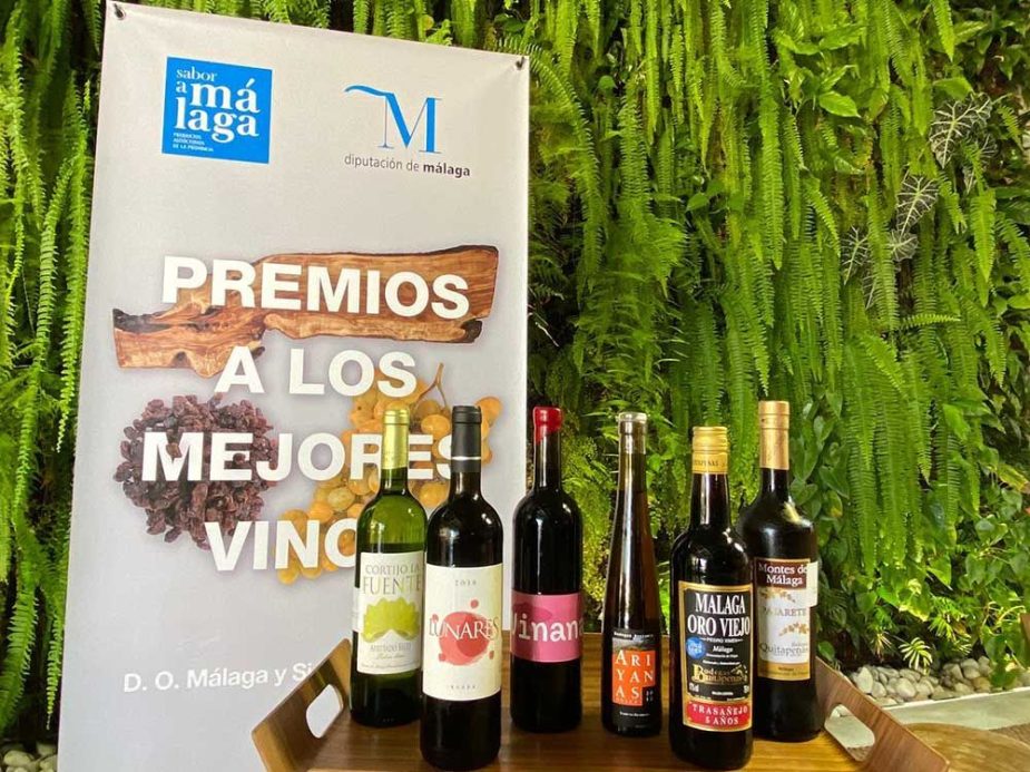 Premios a los mejores vinos de Málaga.