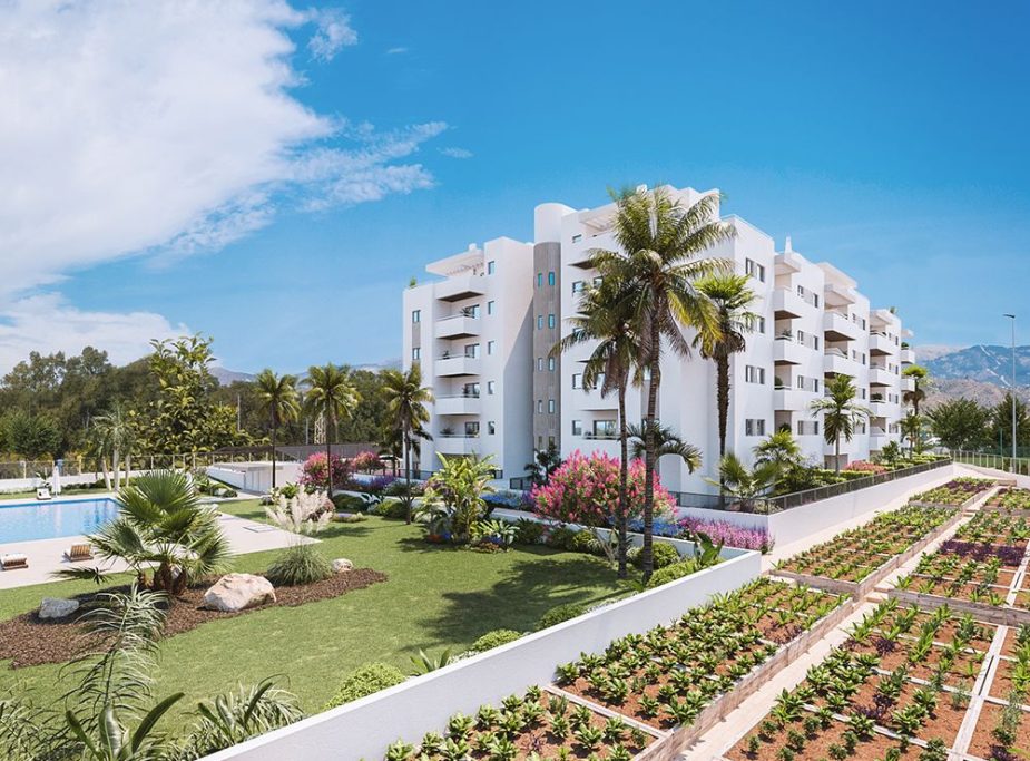 salsa inmobiliaria