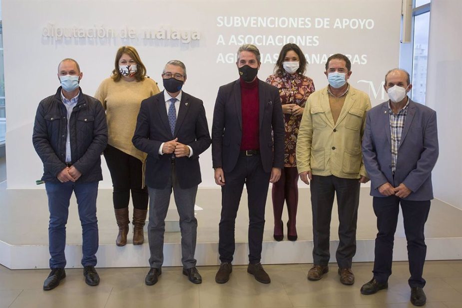 ayudas Málaga Vida Económica