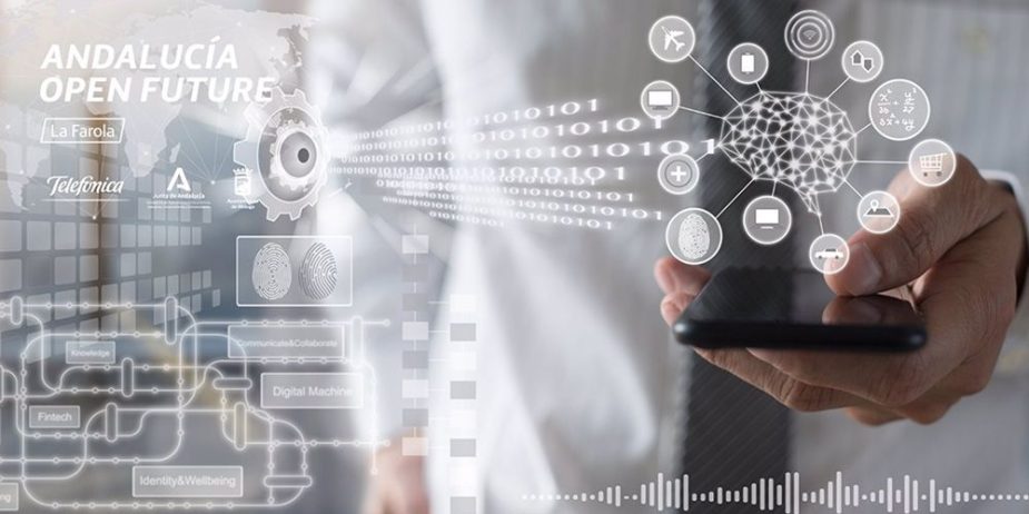 Knowdle Málaga Vida Económica