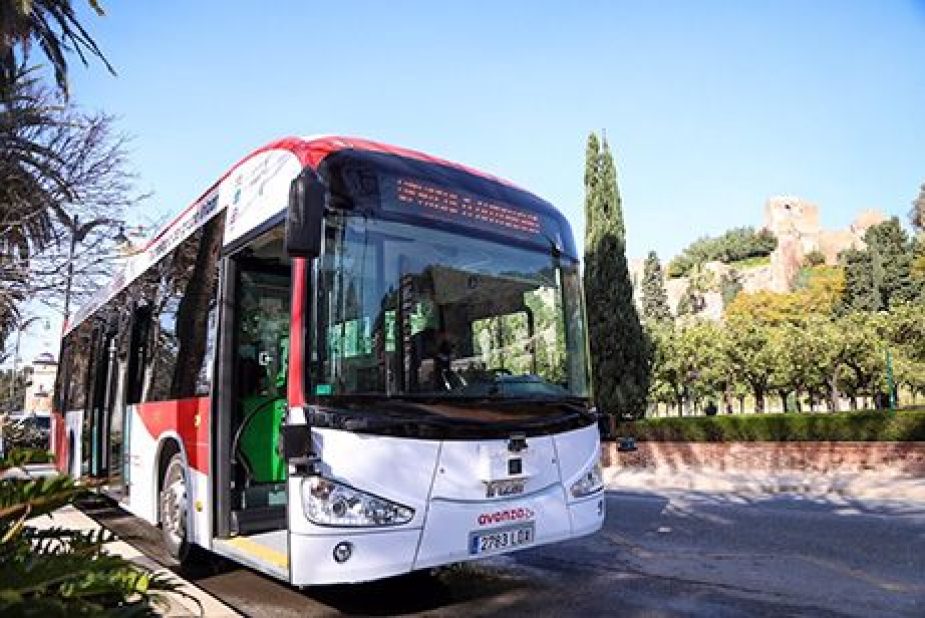 autónomo Málaga Vida Económica