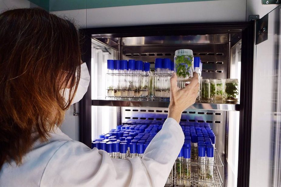 investigadores Málaga Vida Económica