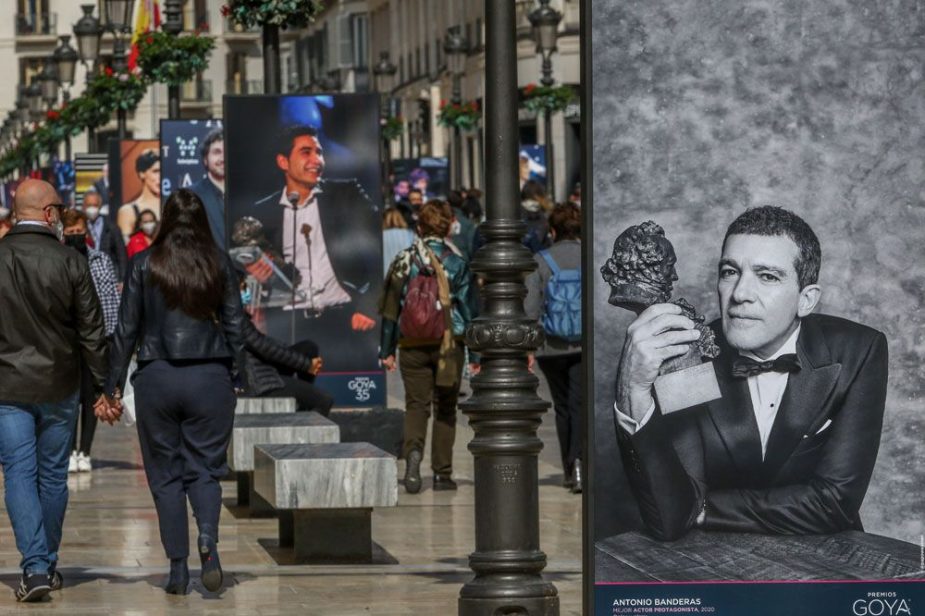 Premios Málaga Vida Económica