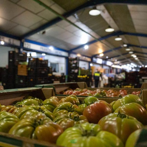 hortalizas Vida Económica Málaga