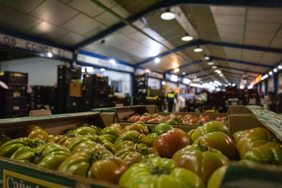 hortalizas Vida Económica Málaga