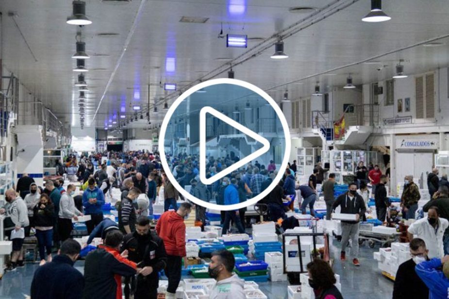 mercamálaga vida económica