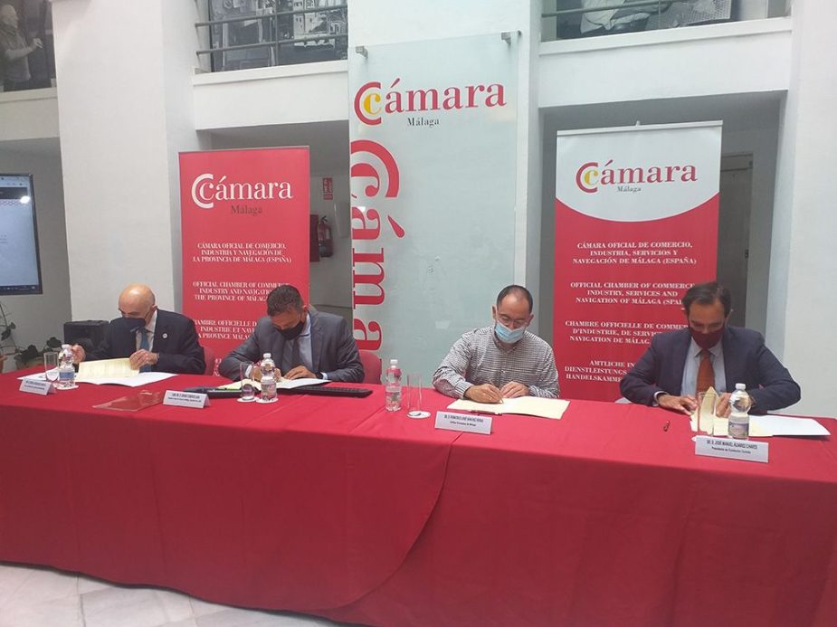 Solidarias Málaga Vida Económica