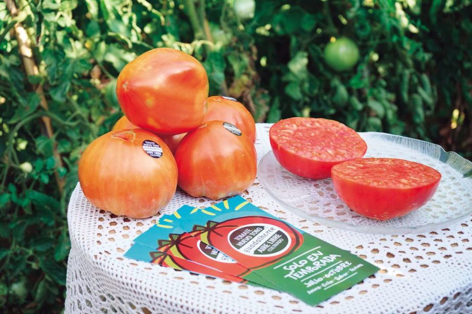 tomate Málaga Vida Económica