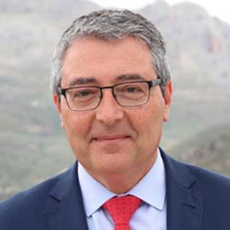 recuperación Málaga Vida Económica