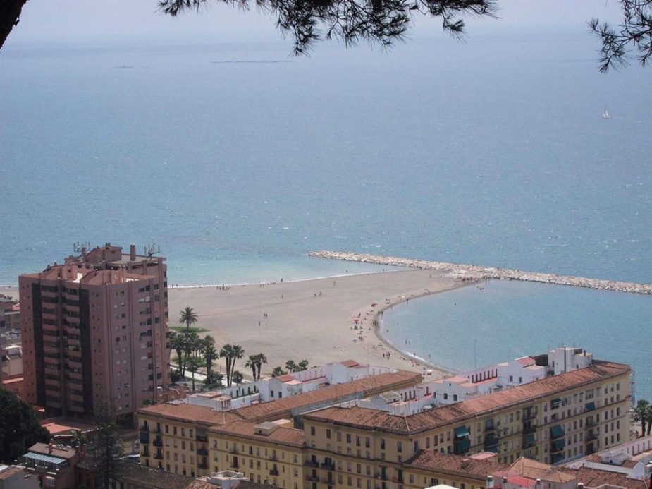 Sicted Málaga Vida Económica