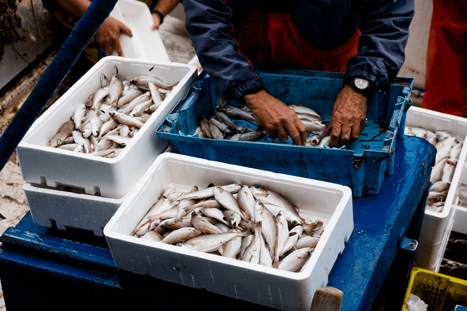 huelga de pescadores