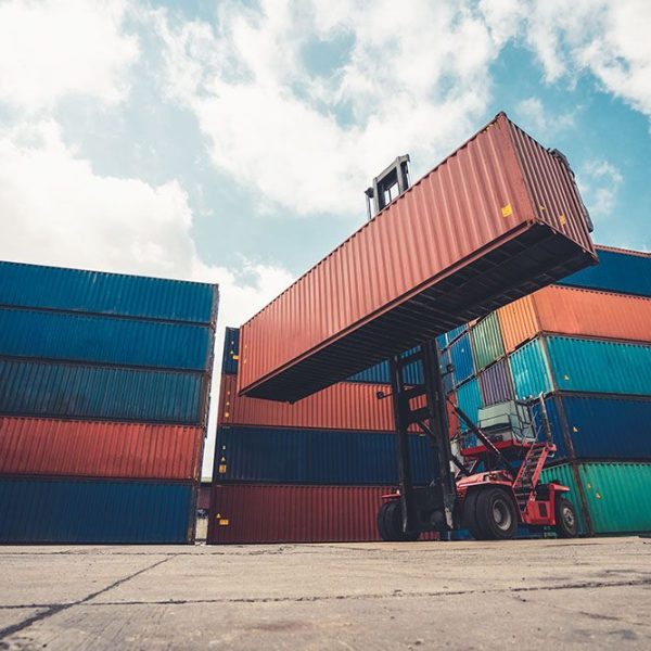 exportación malagueña vida económica