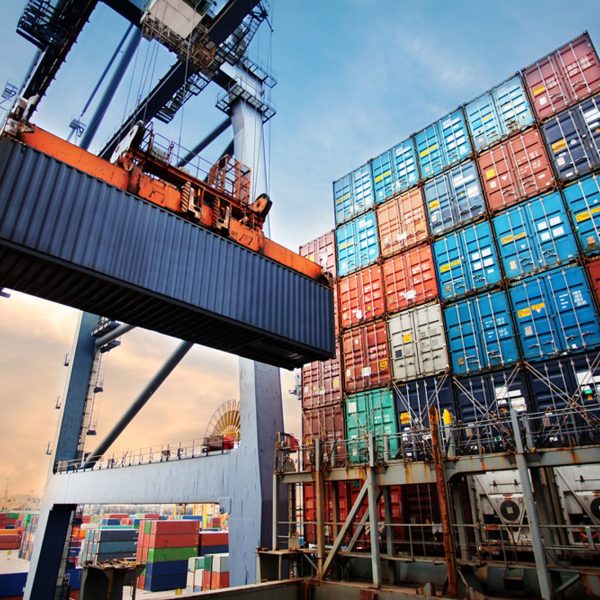 exportaciones aceite de oliva EE. UU. 2025
