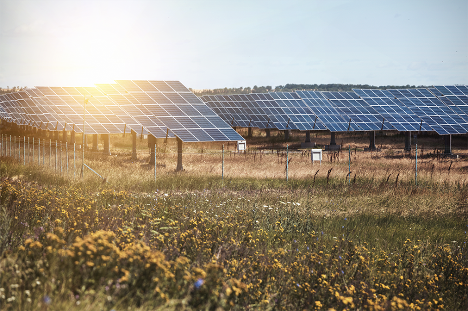 paneles solares en málaga