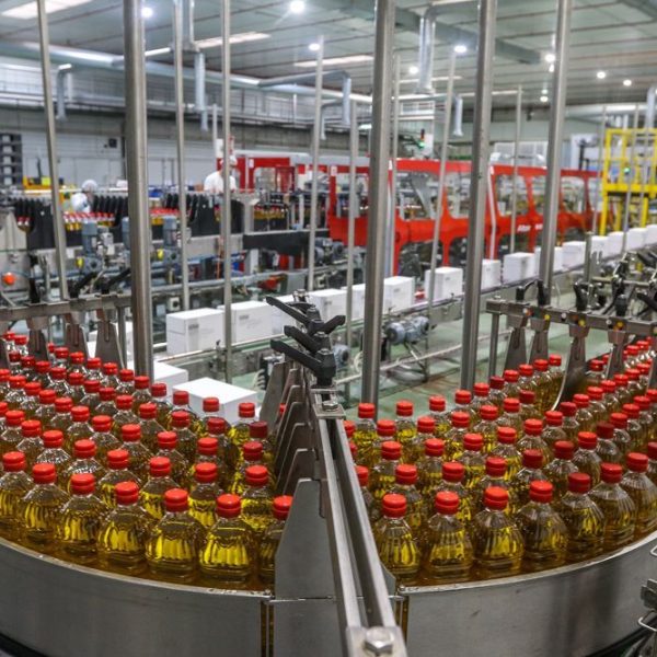exportaciones Andalucía
