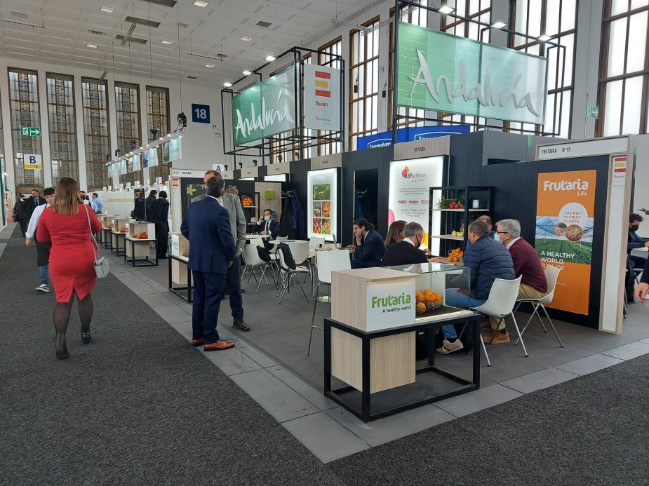 exportación fruta andalucía