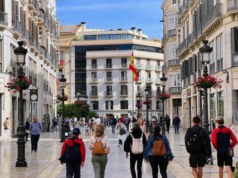 Cofundadores Freepik Constitución
