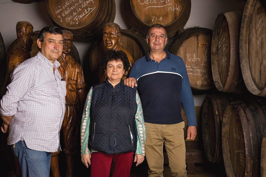 bodegas dimobe