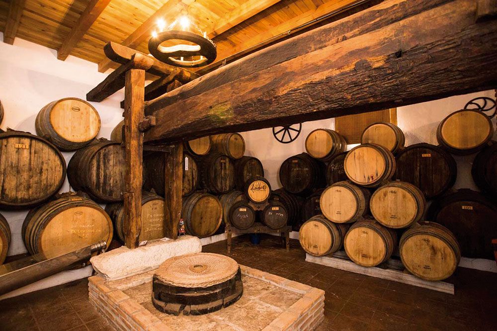 bodegas dimobe