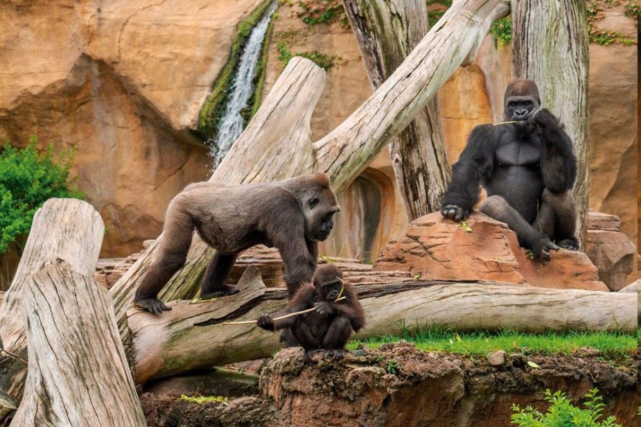 bioparc