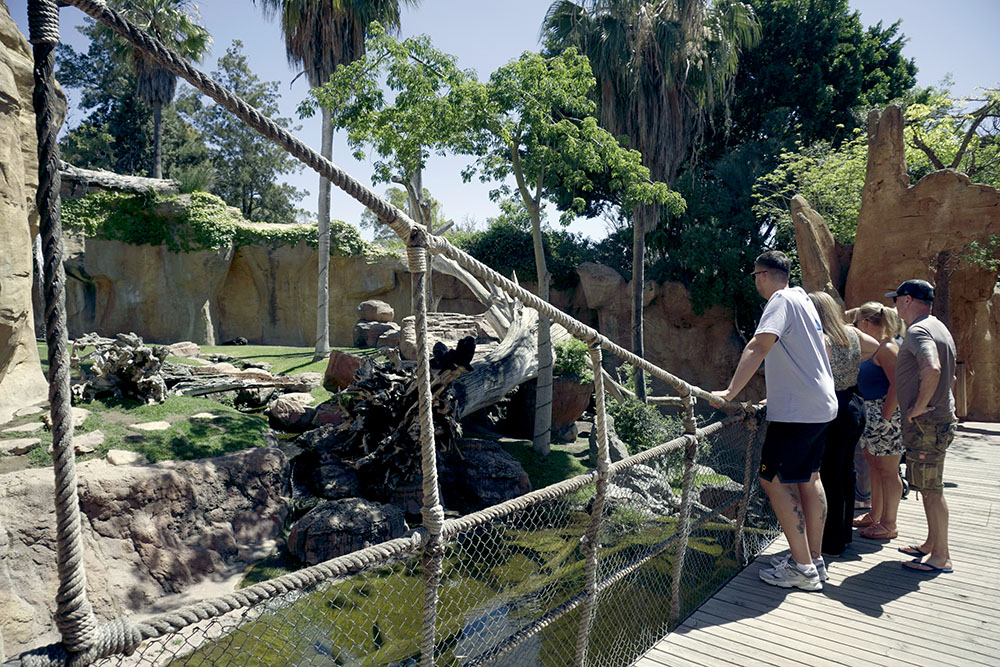 bioparc fuengirola