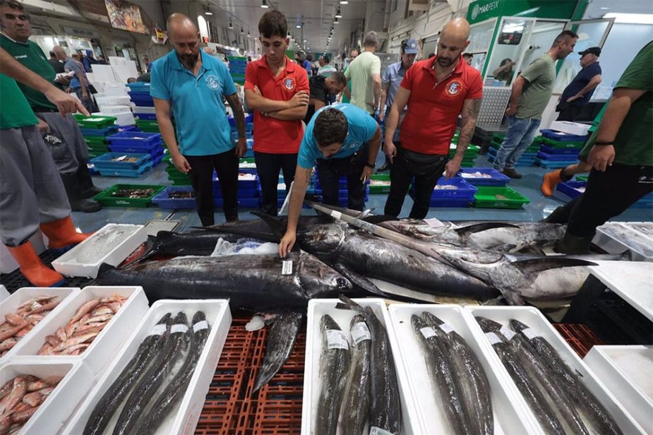 Mercancías Mercamálaga agosto 2024