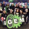 IGEM UMA