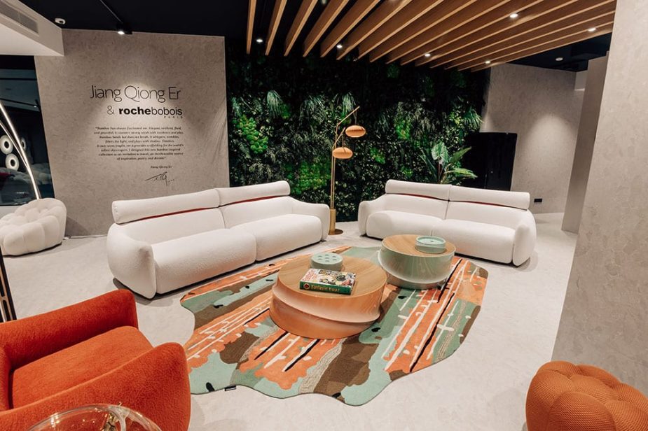 roche bobois