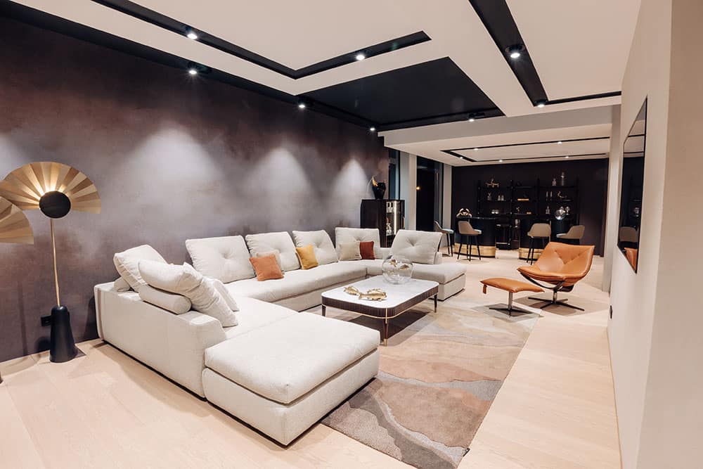 roche bobois