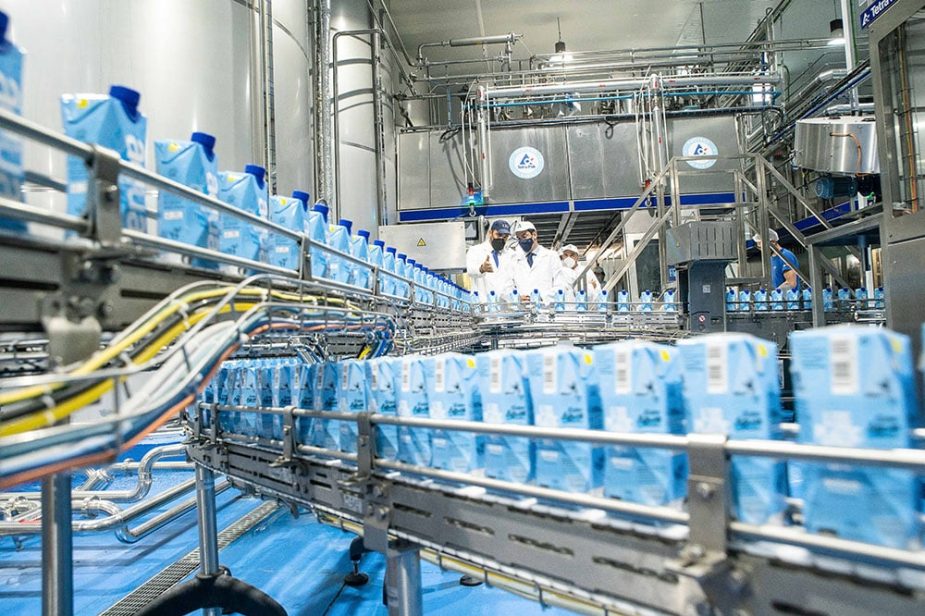Cajas de cartón azules claras avanzan por múltiples cintas transportadoras en una moderna planta industrial de alimentos, entre maquinaria de acero inoxidable y con personal.