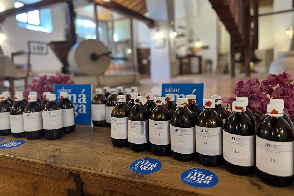premio Sabor a Málaga al mejor aceite