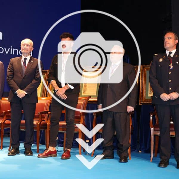 Diputación Medallas de Oro