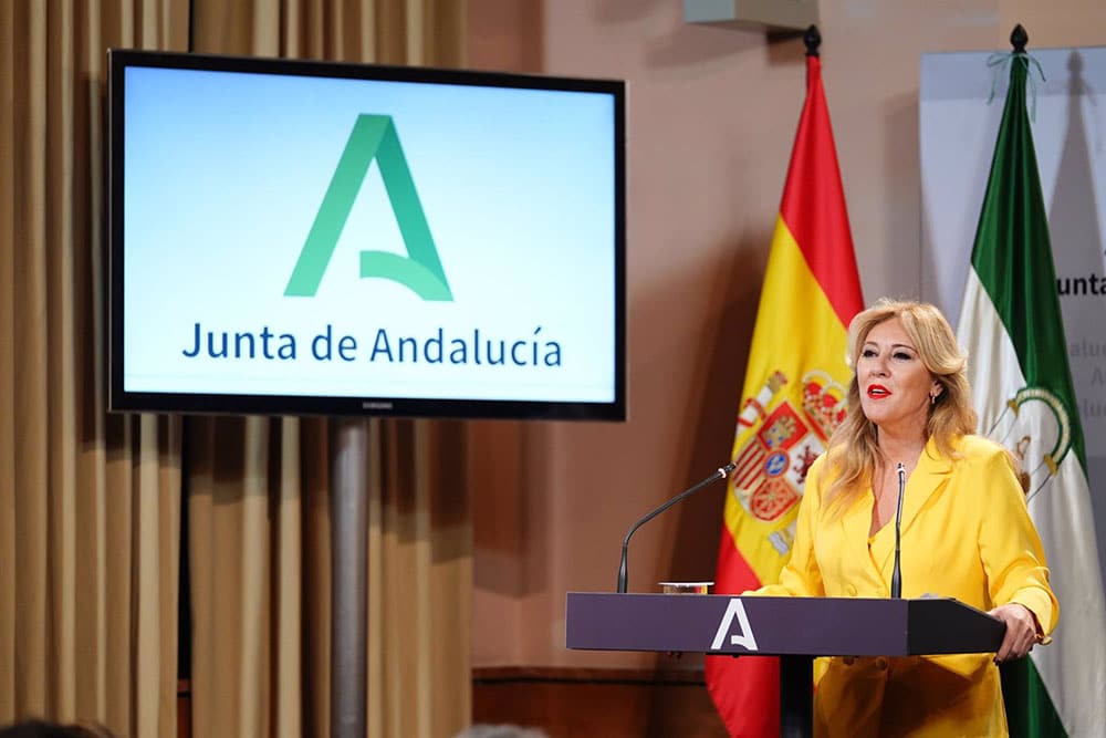 obras del nuevo hospital de málaga