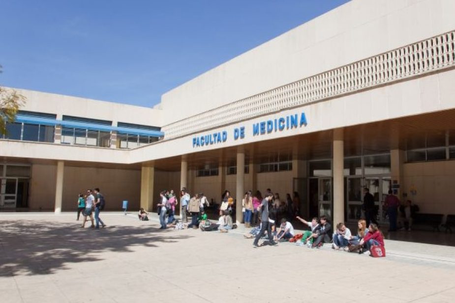elección de grado universitario
