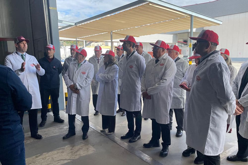 exportaciones de aguacate y mango en Málaga