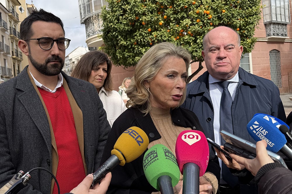 Centro Comercial Abierto Antequera renovación