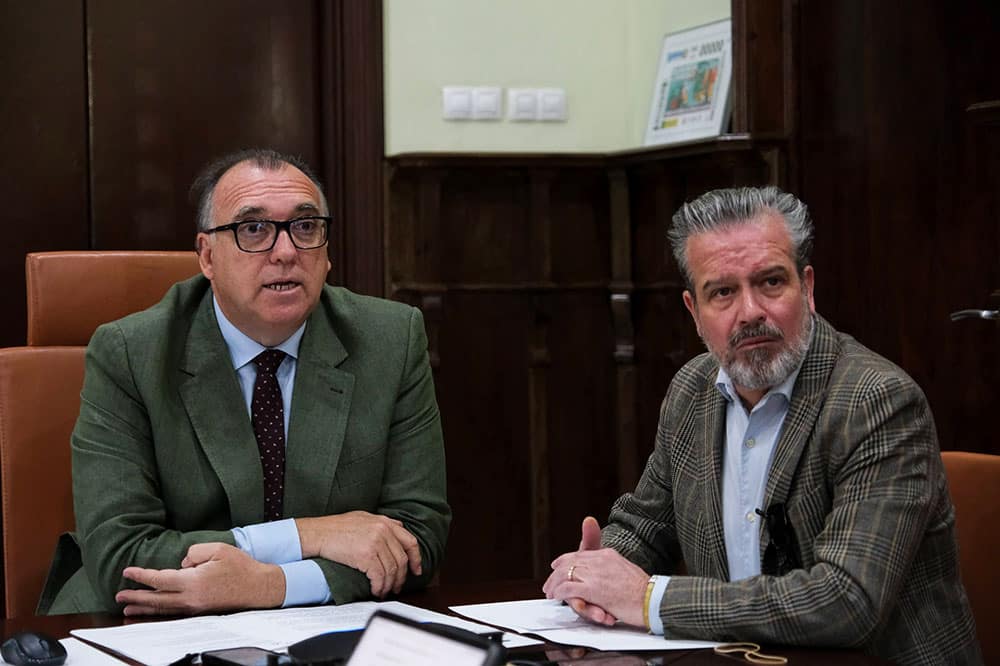 crisis AVE Málaga impacto turismo Costa del Sol