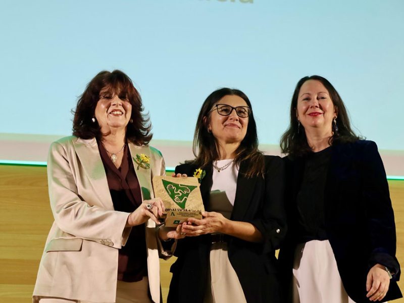 Premios Andalucía + Social Málaga