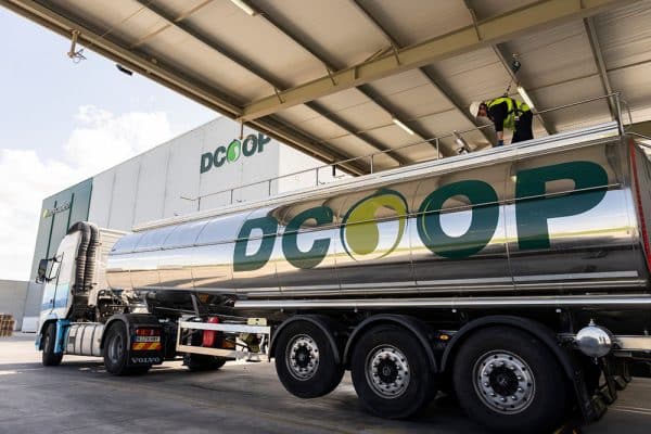 exportaciones Dcoop 2025