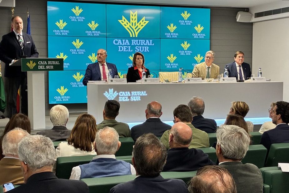 resultados Caja Rural del Sur 2025