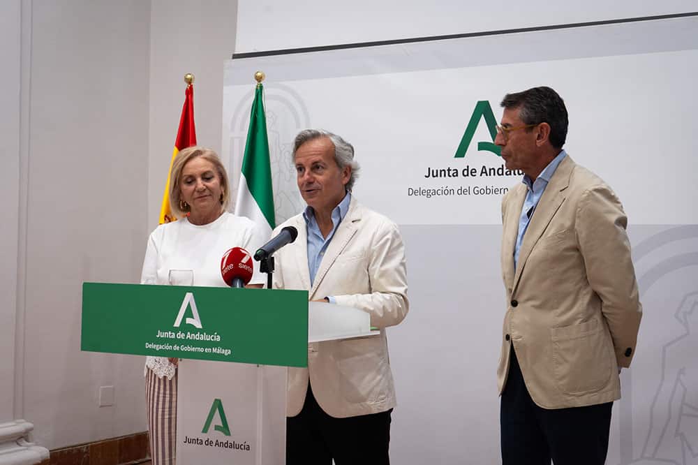 concurso fritura malagueña