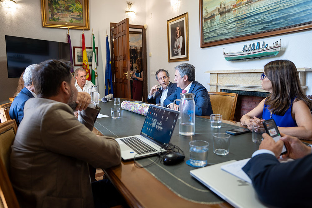 nversión Endesa Málaga 2026