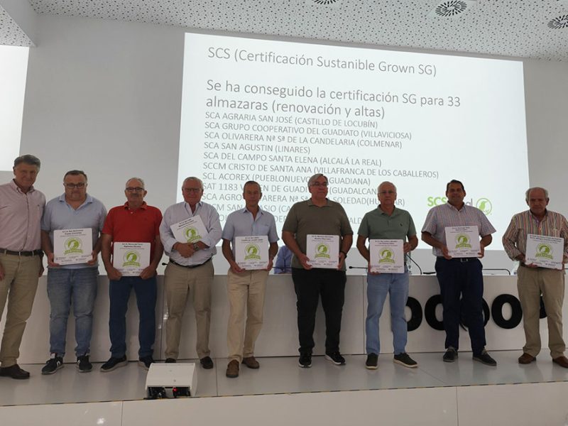 Dcoop certificación sostenible aceite de oliva