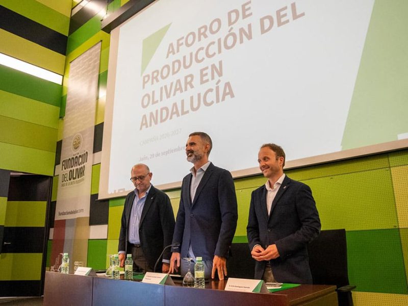 Aforo del olivar en Andalucía.