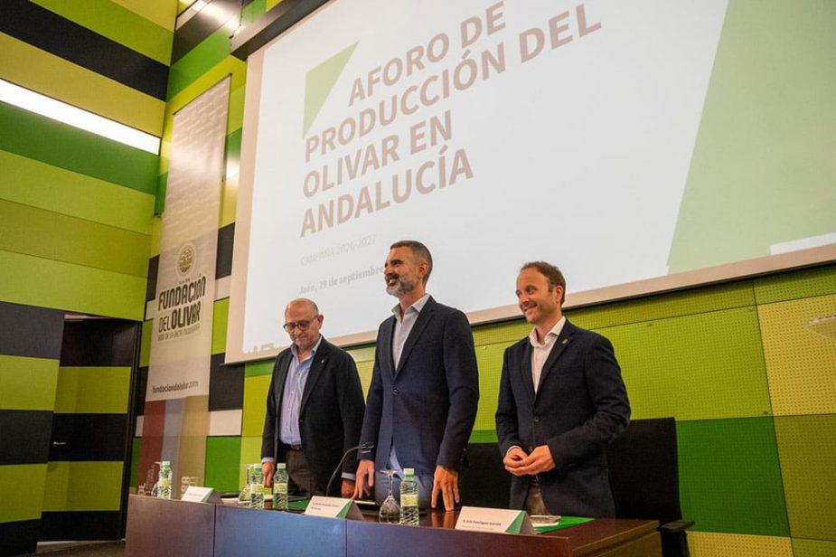 Aforo del olivar en Andalucía.